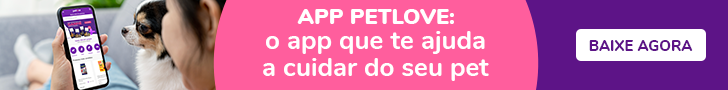 Gatos podem tomar leite? A verdade sobre esse alimento