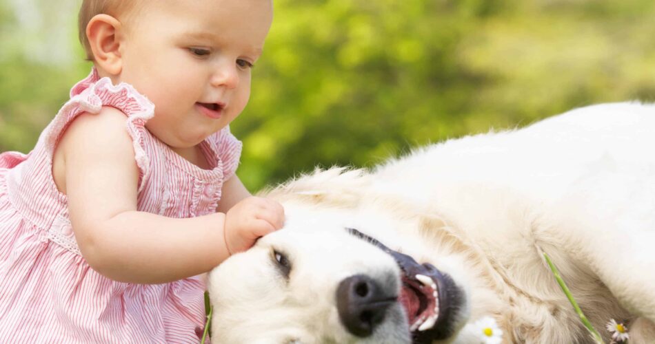 Cachorros e crianças pequenas