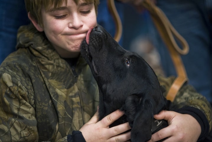 Como educar um cachorro em situações sociais? Descubra!