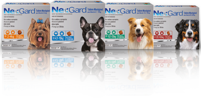 Nexgard – Antipulgas e carrapatos – Veja como deixar seu pet protegido