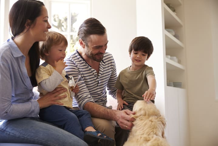 Adoção de animais: o checklist definitivo para se preparar