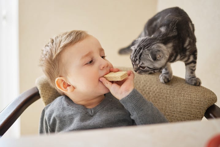 Gatos e crianças: dicas e cuidados para dar certo