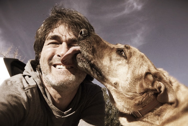 Por que os cachorros lambem? É hora de descobrir!