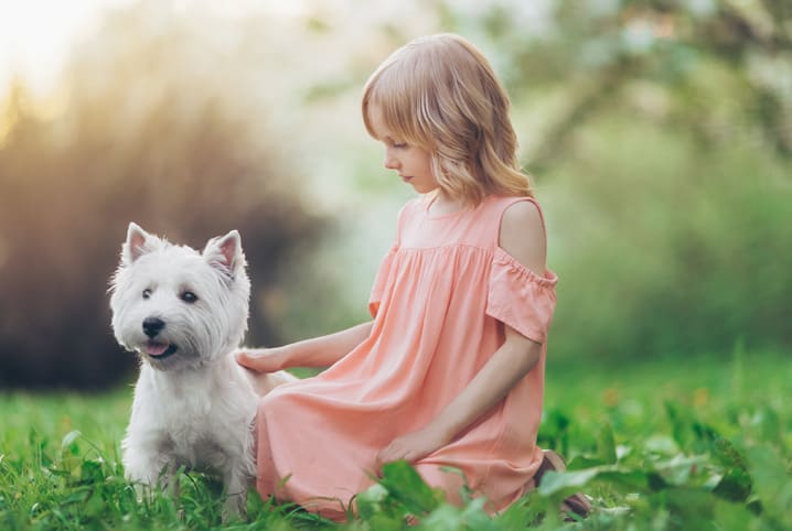 Cachorro para criança? Veja por que essa é uma ótima ideia