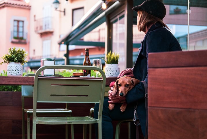 Pet friendly: o que é e como funciona esse serviço