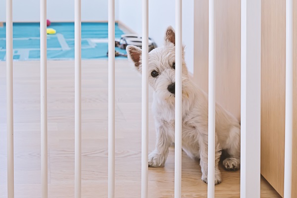 Portão para cachorros