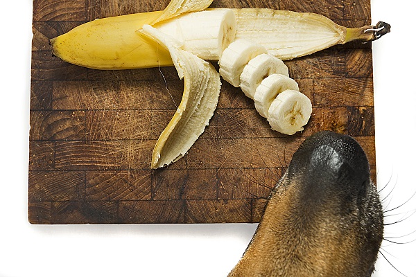 Receita de biscoito para cachorro de cenoura e banana