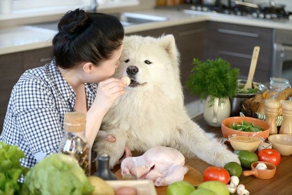 Receita de comida caseira para cachorros