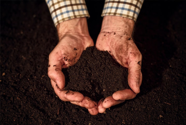 Compostagem doméstica: aprenda os benefícios desta prática