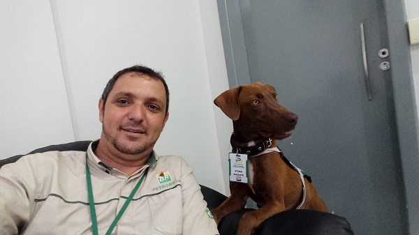 Cachorro vira mascote de posto de gasolina e tem até crachá