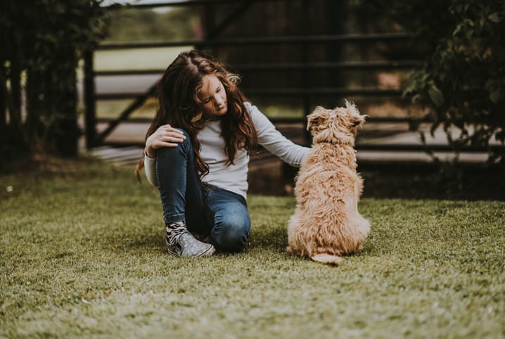 Cachorro com medo de passear: como resolver