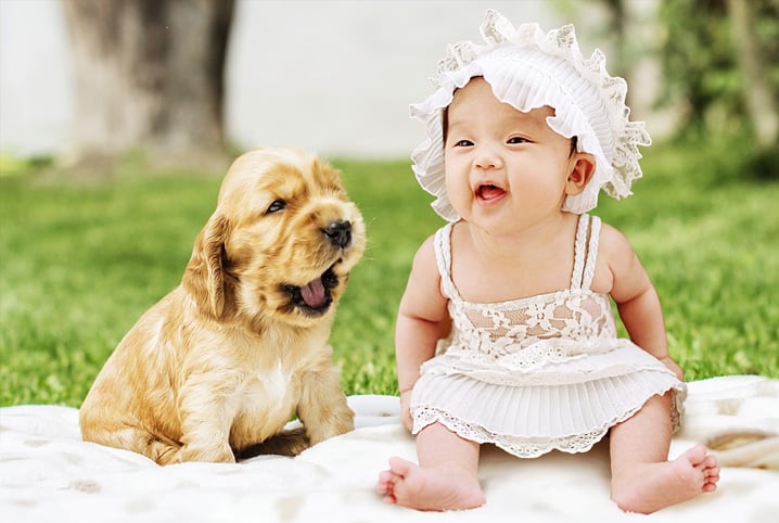 Cachorro e bebê: cuidados e dicas de convivência