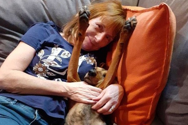 Cachorro resgatado descobre câncer em sua humana