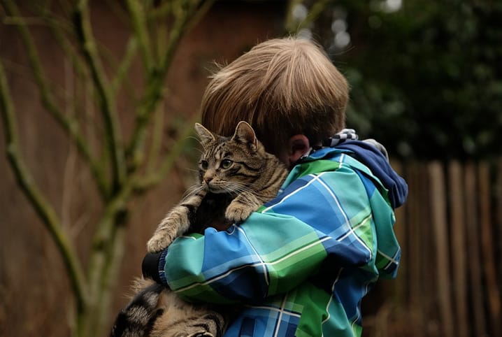 Como tirar pelo de gato da roupa: 5 dicas