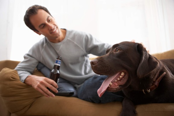 Nos EUA, marca oferece cerveja grátis para quem adotar um cão durante a pandemia