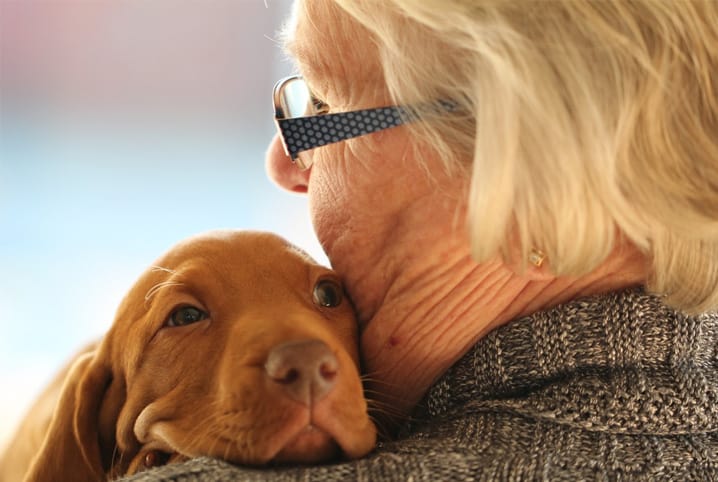 Vantagens de ter um cachorro: conheça os benefícios