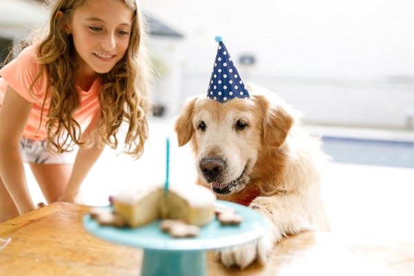 Novo estudo ensina a calcular idade de cachorro para humano