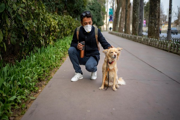 Pandemia: como manter a segurança passeando com seu cachorro no parque
