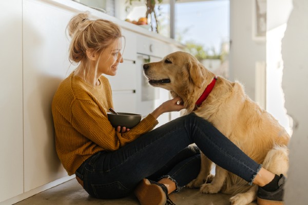 Quantas vezes por dia um cachorro deve comer?