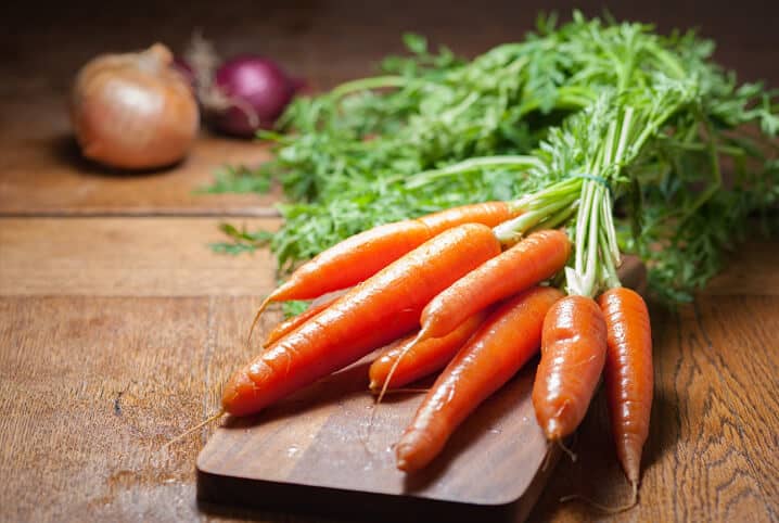 Canário-belga pode comer cenoura? Saiba se o alimento pode ser oferecido a ave