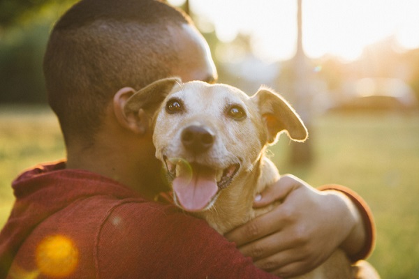 Personalidade do humano influencia no comportamento canino