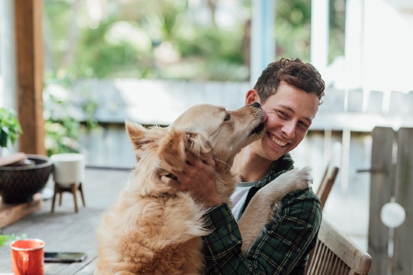 Espanha aprova lei que dá aos pets direitos legais semelhantes a humanos