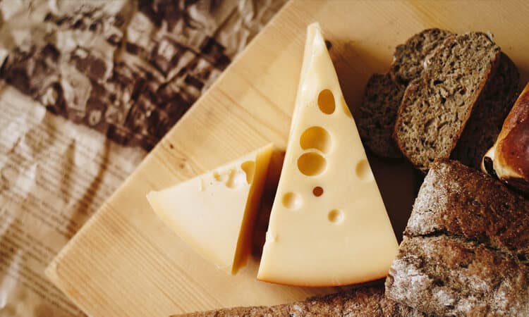 Coelho pode comer queijo? Saiba por que o alimento não é indicado!