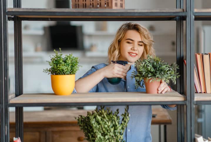 Aprenda como fazer um vaso com 7 ervas em casa