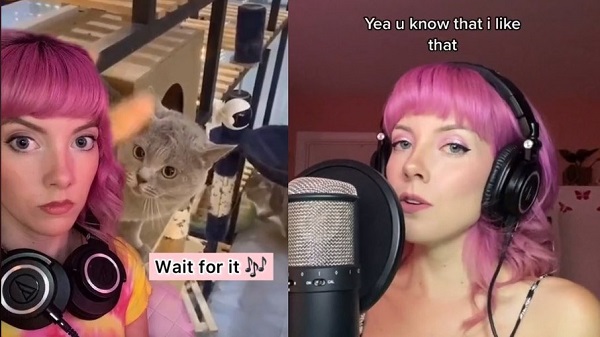 Cantora cria música a partir do miado de um gato