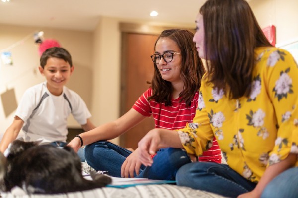 ONG americana cria clube de leitura para ajudar gatos tímidos