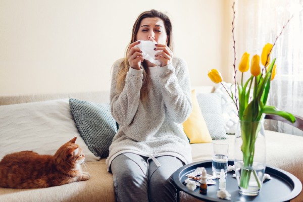 Alergia a gato? Conheça a solução!