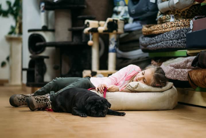 Dormir com cachorro faz mal? Entenda todos os cuidados!