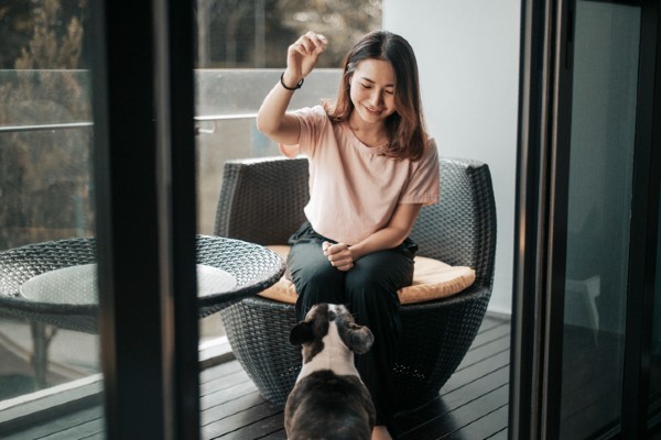 Podcast Petlove – Educação e treinamento de cães com Dante Camacho