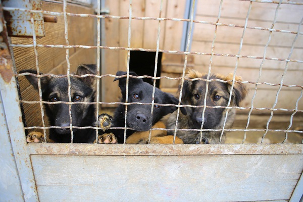 Reino Unido prevê aumento de casos de abandono