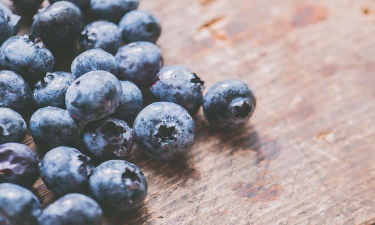 Saiba como plantar jabuticaba em vaso