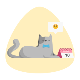 Impactos do isolamento na vida dos pets