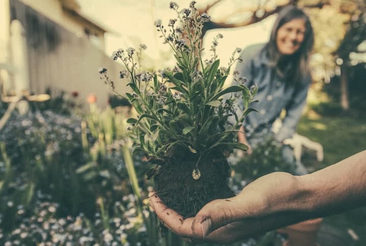 Produtos para jardinagem: 7 itens indispensáveis