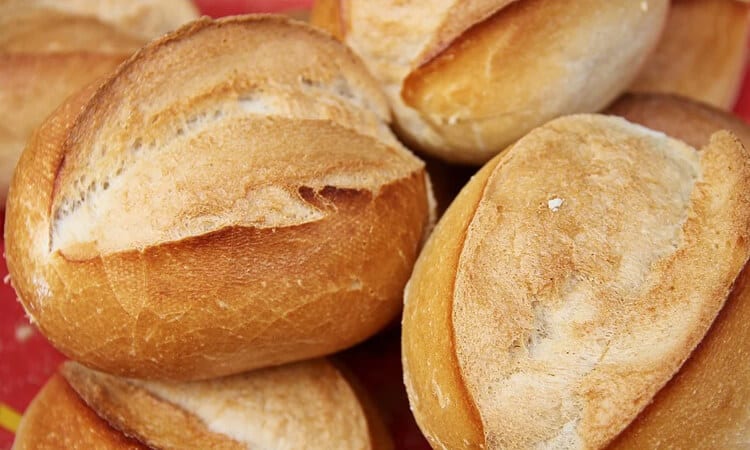 Afinal, hamster pode comer pão? Descubra aqui!