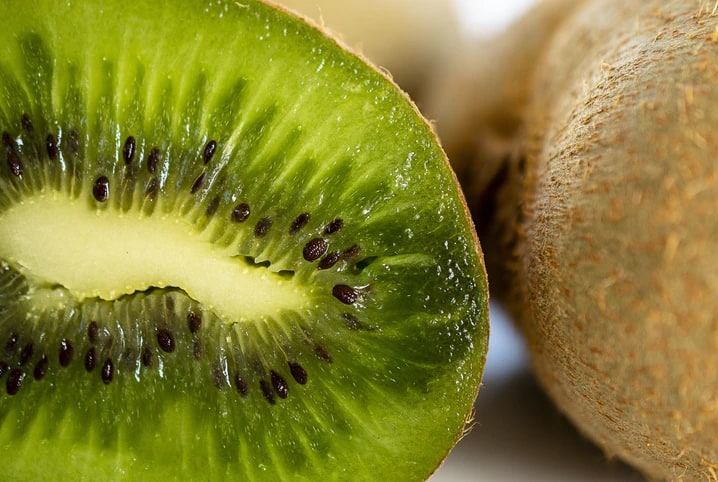 Papagaio pode comer kiwi, sim ou não?