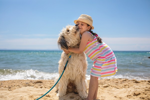 Projeto de Lei que autoriza pets nas praias de Florianópolis é protocolado