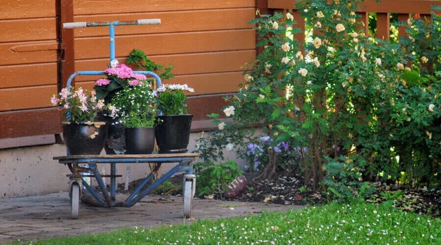 Jardim de plantas: descubra como criar um na sua casa!
