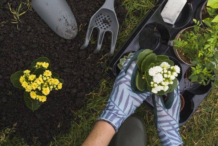 Conheça 6 ferramentas para jardinagem