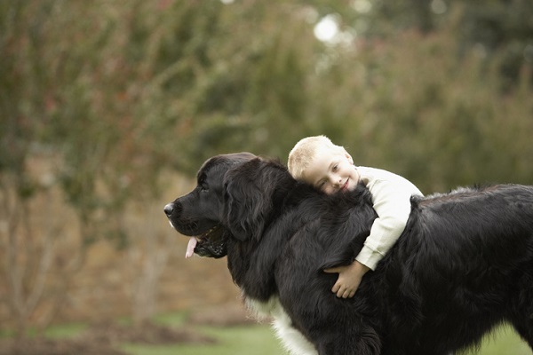 Cachorro e criança é uma boa combinação?