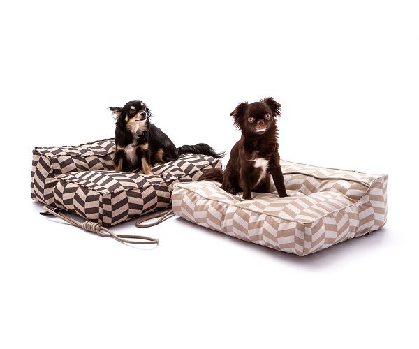 Conheça a Snooze, marca de produtos artesanais para cães e gatos