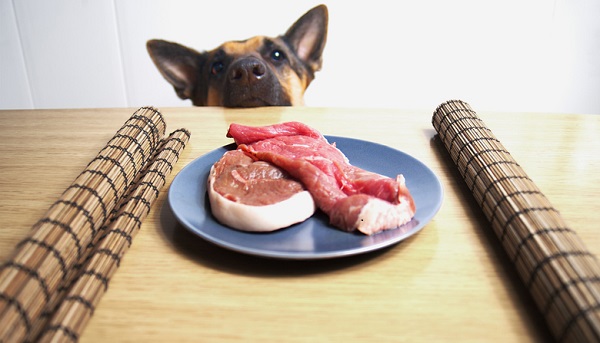 Cachorro pode comer quais tipos de carne?