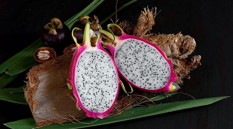 Como plantar pitaya? Confira todas as dicas