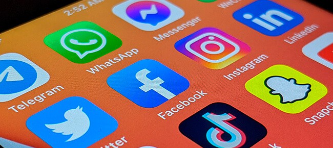 Quiz – TikTok, Instagram ou Twitter: em qual rede social seu pet iria bombar?