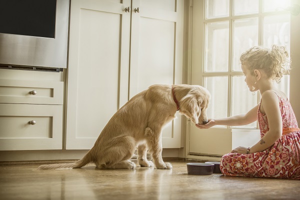 Como as crianças podem ajudar na rotina dos cães?