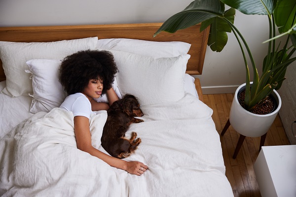 Pets não podem dormir na cama, diz estudo