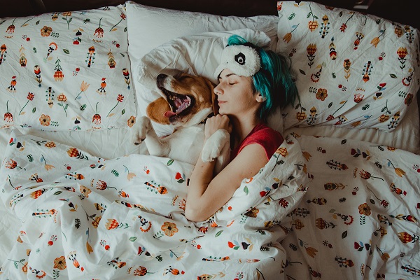 Por que os cães gostam de dormir com a gente?
